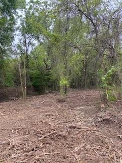 355 Rainbow Drive - Photo 5