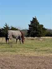 102 Red Maple Road - Photo 2