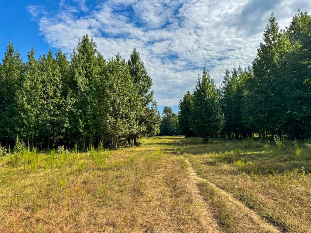 00 HWY 49 - Photo 1