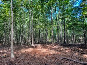 00 HWY 49 - Photo 13