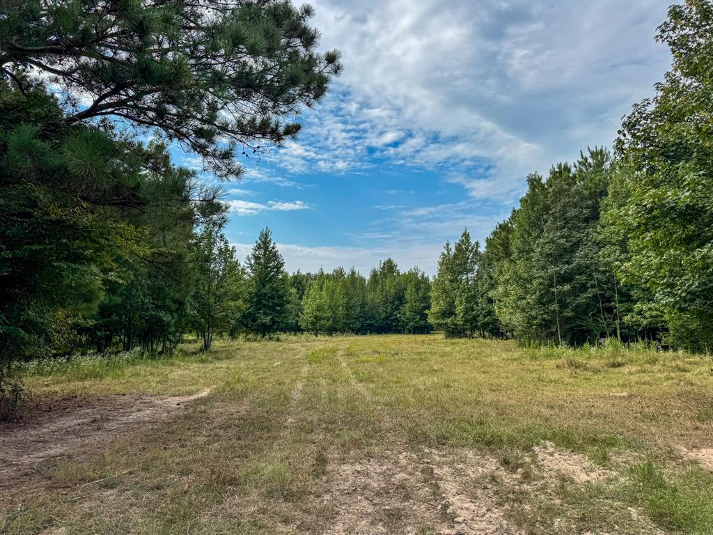 00 HWY 49 - Photo 14