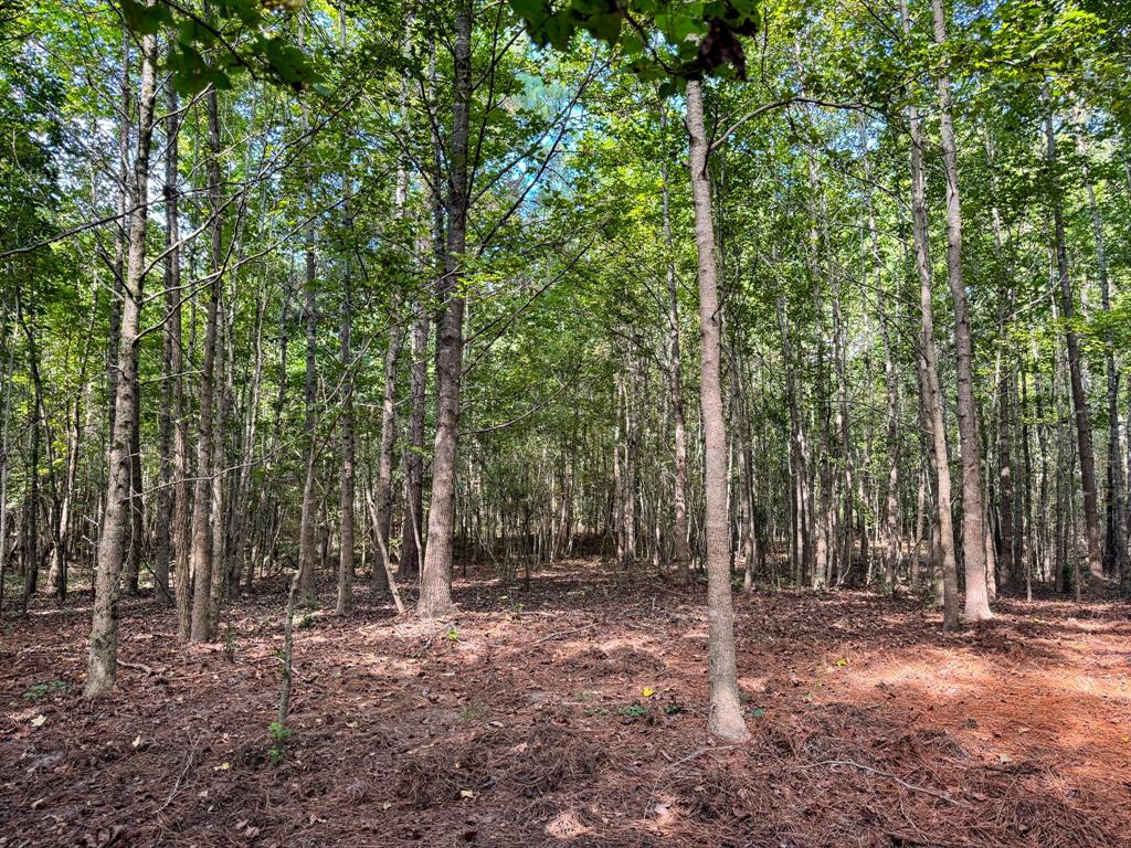 00 HWY 49 - Photo 15