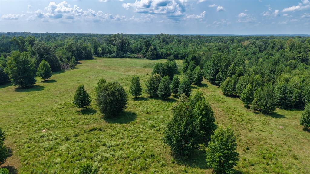 00 HWY 49 - Photo 16