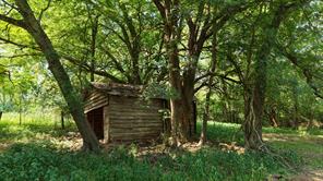 00 HWY 49 - Photo 17