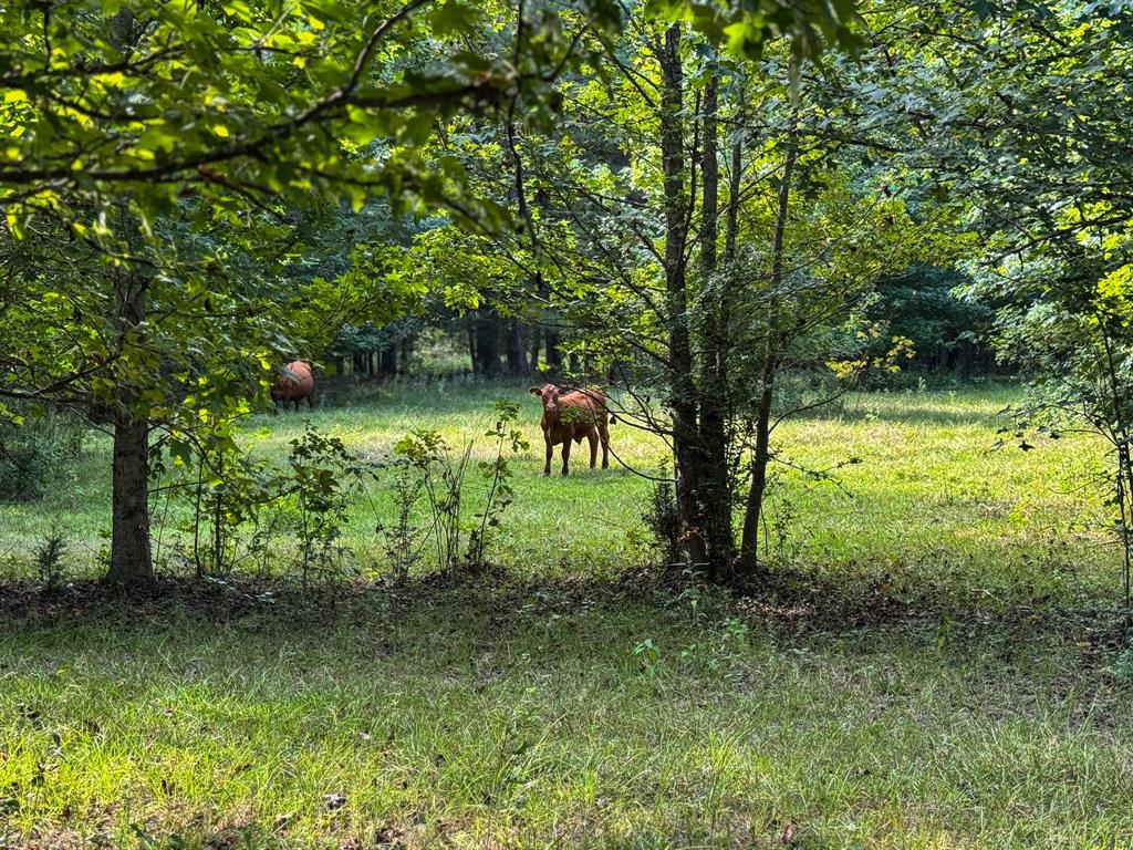 00 HWY 49 - Photo 2
