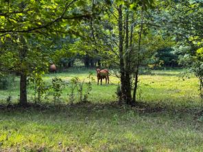 00 HWY 49 - Photo 27