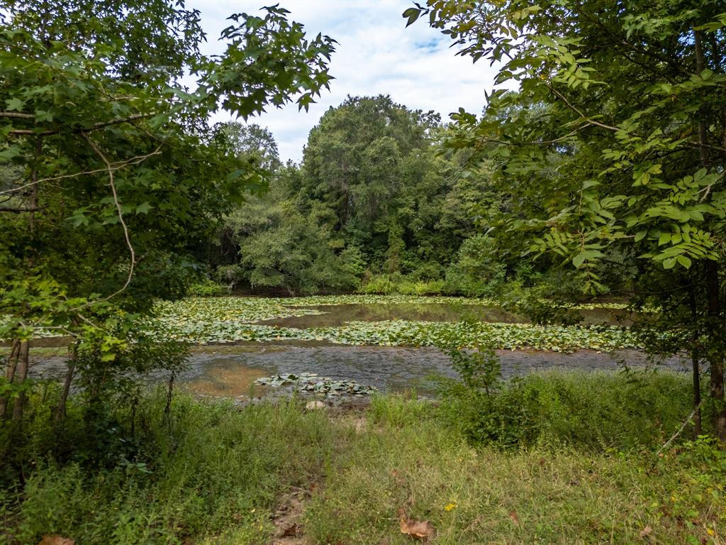 00 HWY 49 - Photo 4