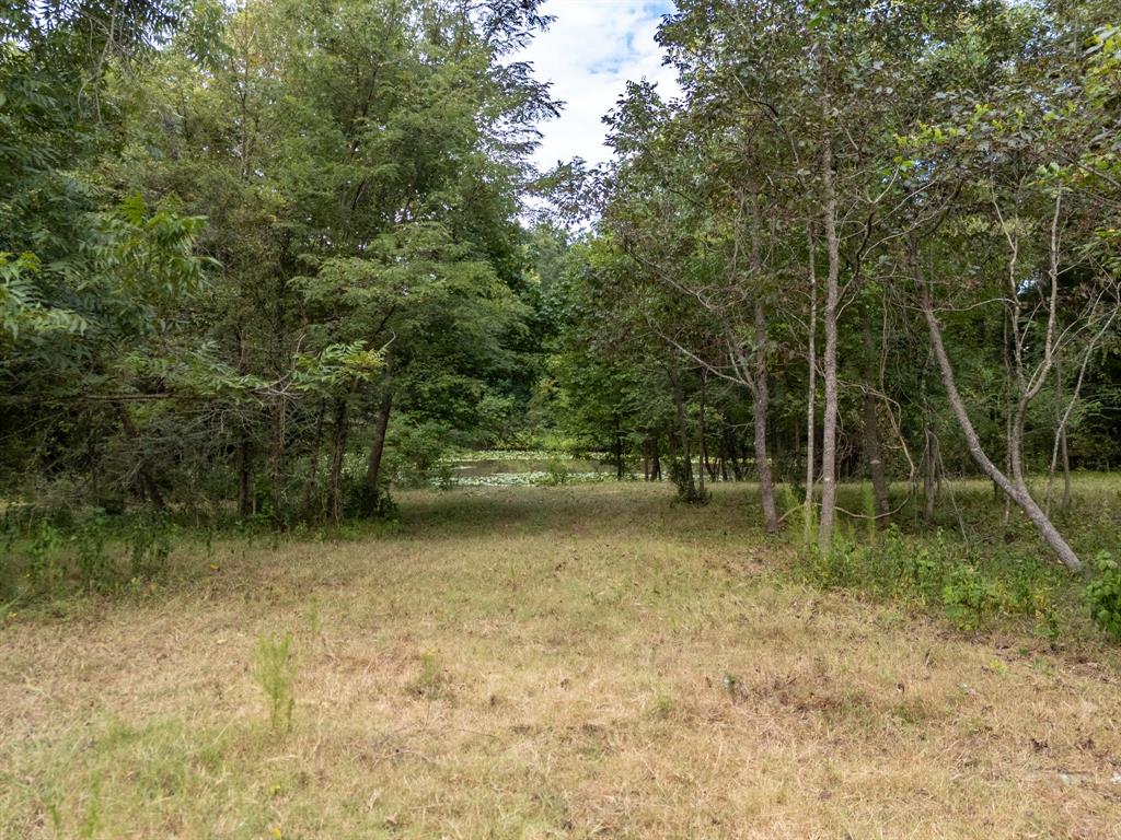 00 HWY 49 - Photo 8