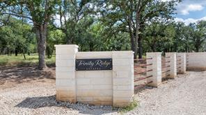 LOT #1 Trinity Ridge Drive - Photo 2