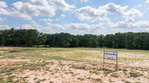 LOT #5 Trinity Ridge Drive - Photo 4