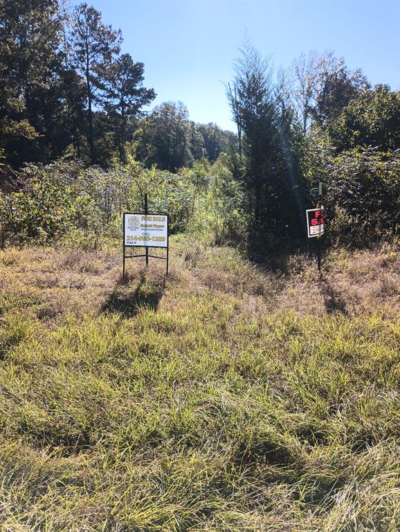 454 County Road 3334 - Photo 1