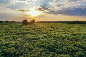99.97 Acres S 281 Highway - Photo 10