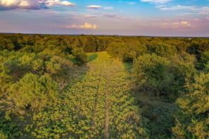 99.97 Acres S 281 Highway - Photo 11