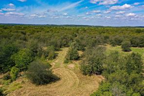 99.97 Acres S 281 Highway - Photo 12