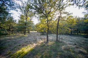 99.97 Acres S 281 Highway - Photo 15
