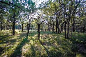 99.97 Acres S 281 Highway - Photo 17