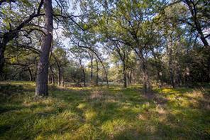 99.97 Acres S 281 Highway - Photo 18