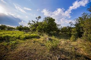99.97 Acres S 281 Highway - Photo 19