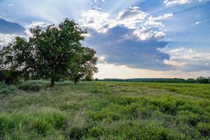 99.97 Acres S 281 Highway - Photo 20