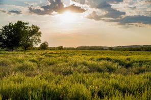 99.97 Acres S 281 Highway - Photo 21