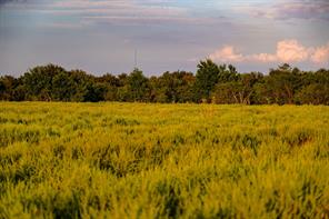 99.97 Acres S 281 Highway - Photo 22