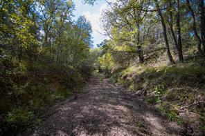 99.97 Acres S 281 Highway - Photo 25