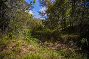 99.97 Acres S 281 Highway - Photo 27