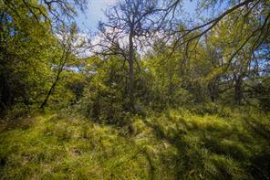 99.97 Acres S 281 Highway - Photo 28