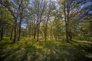 99.97 Acres S 281 Highway - Photo 29