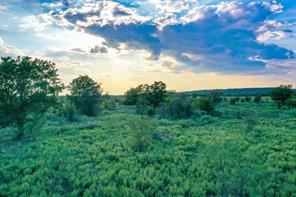 99.97 Acres S 281 Highway - Photo 3