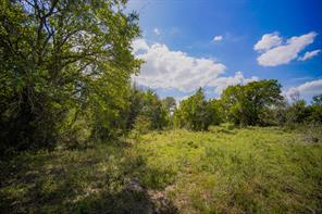 99.97 Acres S 281 Highway - Photo 30