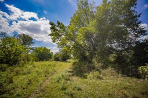 99.97 Acres S 281 Highway - Photo 31