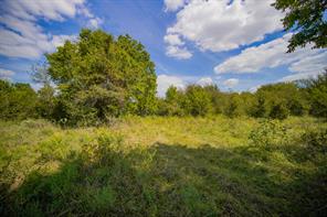 99.97 Acres S 281 Highway - Photo 32