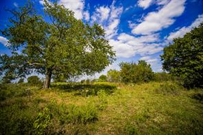 99.97 Acres S 281 Highway - Photo 33
