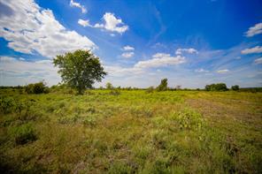 99.97 Acres S 281 Highway - Photo 34