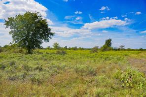 99.97 Acres S 281 Highway - Photo 35
