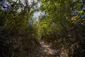99.97 Acres S 281 Highway - Photo 36
