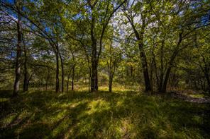 99.97 Acres S 281 Highway - Photo 38