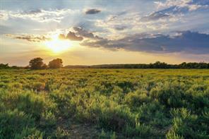 99.97 Acres S 281 Highway - Photo 8