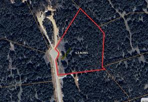 170 Wooded Crest - Photo 13