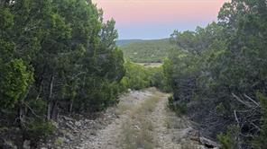 TBD Old Coleman - Photo 10