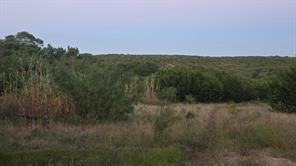TBD Old Coleman - Photo 12