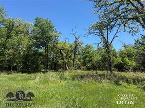Lot 62 & 63 Camden Lane - Photo 3