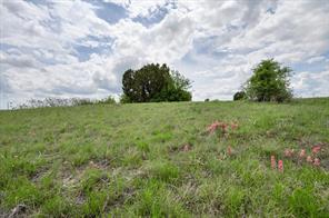 Lot 17 Ava Grace Lane - Photo 2