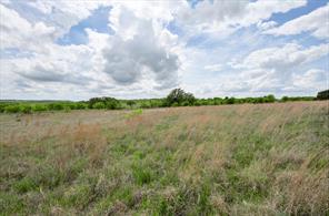 Lot 17 Ava Grace Lane - Photo 4