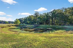 1700 Elmore Road - Photo 34