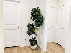 5223 Lavender Drive - Photo 8