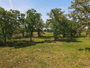 Lot 47 Paradise Oaks Ranch - Photo 5