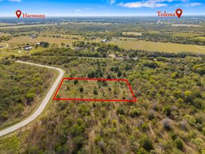 8037 Big Water Lane - Photo 6