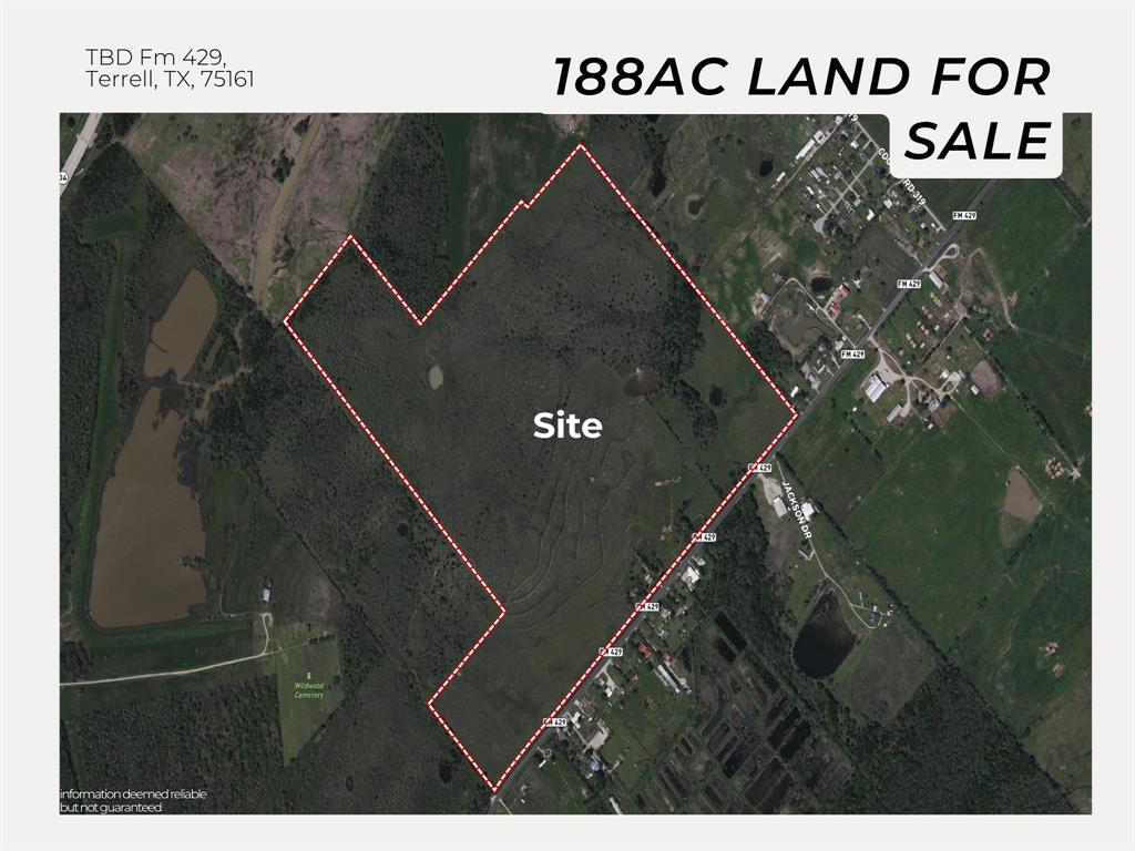 TBD Fm Rd 429 - Photo 1